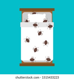 Bedbug In Bug. Chinch Insect Vector Illustration