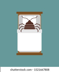 Bedbug In Bug. Chinch Insect Vector Illustration