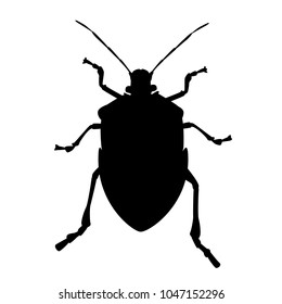 Bedbug, bug, crum, heteroptera, bloodsucking insect. Vector, black contour, white isolated background.