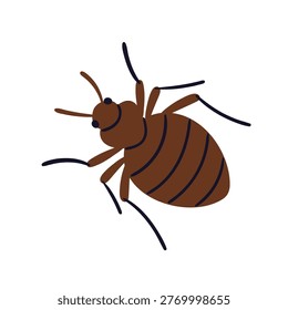 Bedbug icon. Bed bug, top view. Home mattress and bedroom parasite. Cimex lectularius, parasitic bloodsucking pest, infection carrier. Flat vector illustration isolated on white background