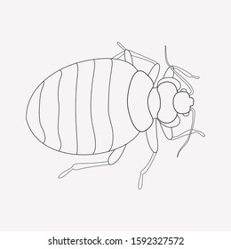 Bedbug Icon Line Element. Vector Illustration Of Bedbug Icon Line Isolated On Clean Background For Your Web Mobile App Logo Design.