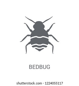 Bedbug icon. Trendy Bedbug logo concept on white background from animals collection. Suitable for use on web apps, mobile apps and print media.