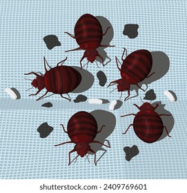 Bedbug infestation on blue fabric. A group of parasitic insects on bed linen.