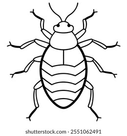 Bedbug inseto vetor plano ilustração em um fundo branco