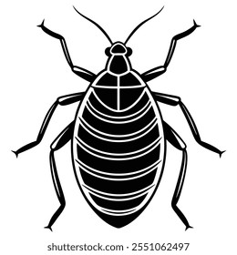 Bedbug inseto vetor plano ilustração em um fundo branco