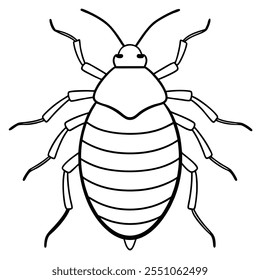 Bedbug inseto vetor plano ilustração em um fundo branco