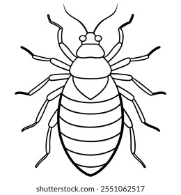 Bedbug inseto vetor plano ilustração em um fundo branco