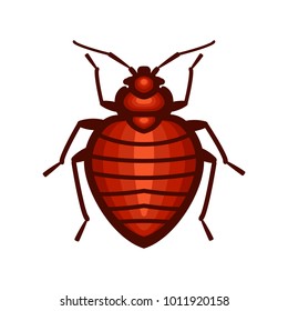Bedbug insect illustration design