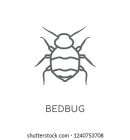 Bedbug linear icon. Modern outline Bedbug logo concept on white background from animals collection. Suitable for use on web apps, mobile apps and print media.