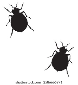 Bedbug Silhouette, Bedbug illustration, Bedbug icon Silhouette, Bedbug Silhouette illustration
