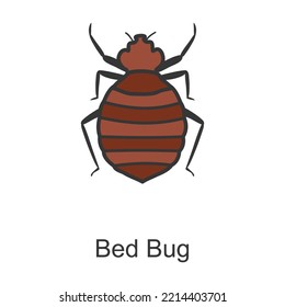 Bedbug Vector Icon.Color Vector Icon Isolated On White Background Bedbug .