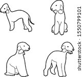 Bedlington Terrier Animal Vector Illustration Hand Drawn Cartoon Art
