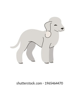 Bedlington Terrier. Cute dog character. Vector illustration in cartoon style for poster, postcard.