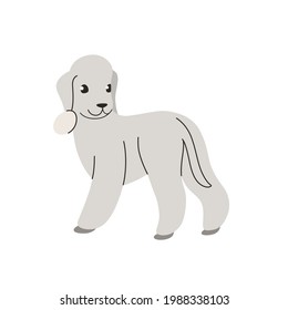 Bedlington Terrier. Cute dog character. Vector illustration in cartoon style for poster, postcard.
