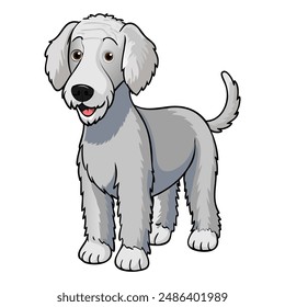 Bedlington Terrier dog breed  vector illustration isolated on white background in cartoon style.