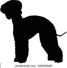 Bedlington Terrier Dog, Silhouette, Northumberland, North East England