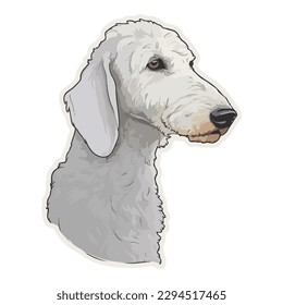 Bedlington Terrier Flat Icon Isolated On White Background