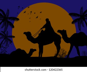 Bedouin camel caravan in wild africa landscape on sunset, vector illustration