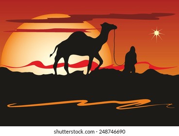 Bedouin with camel in desert