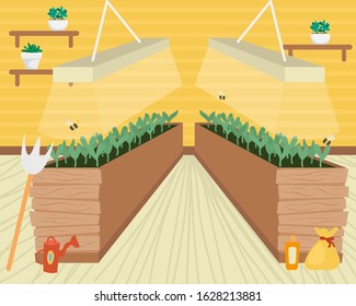 Beds with seedlings for growing vegetables in the apartment. Environmental consumption. Farm city.
