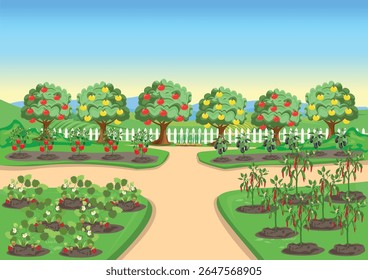 Beds with tomatoes, eggplants and sweet peppers behind a white fence with fruit trees and berries. Vegetable garden near the house. Organic gardening. Vector illustration.