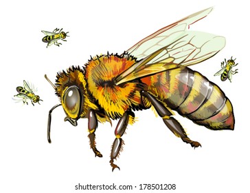 bee
