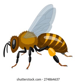 5,487 Illustration realistic bee Images, Stock Photos & Vectors ...