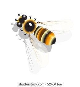 bee