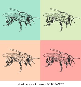 bee