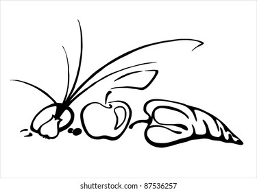 bee