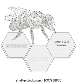 bee abstract logo design. low poly frame isolated black on white background.The concept of insects consists of lines, dots, triangles. Vector