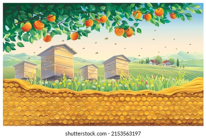 Bee apiary with honeycomb in the foreground against the background of a rural landscape with a village. Vector illustration.
