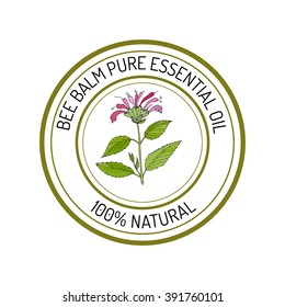 Bee balm, essential oil label, aromatic plant. Vector illustration