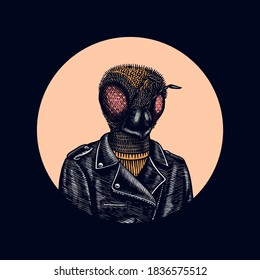 Bee biker. Fly in a leather jacket. Fashion insect character. Hand drawn sketch. Vector engraved illustration for logo, label and tattoo or T-shirts.