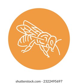 Bee black line icon. Farm animals. Pictogram for web page, mobile app, promo.