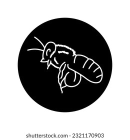 Bee black line icon. Pictogram for web page, mobile app, promo.