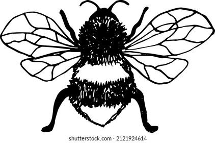 Diseño de garabatos gráficos en blanco y negro. Ilustración vectorial.