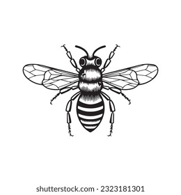 bee black and white vector illustration 