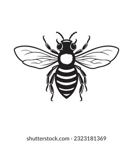 bee black and white vector illustration 