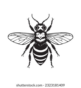 bee black and white vector illustration 
