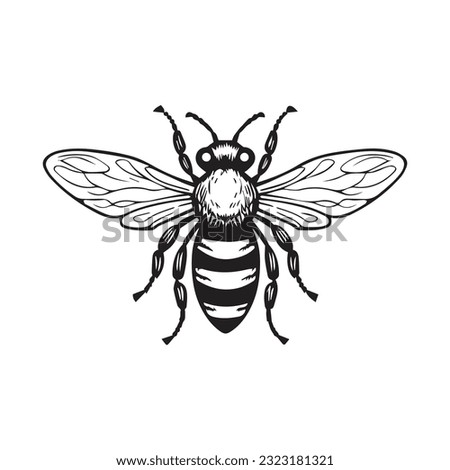 bee black and white vector illustration 
