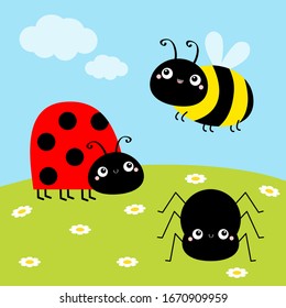 Bee bumblebee, spider, ladybug ladybird, lady bug. Insect set. Green grass daisy meadow, sky with clouds. Cute cartoon kawaii animal character. Flat design. Baby background. Vector illustration