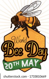 Abeja cargando polen y parado en la parte superior de un peine de miel, con fecha de recordatorio en cinta y mensaje de bienvenida para celebrar el Día Mundial de la Abeja este 20 de mayo.