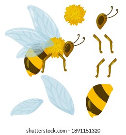 bee in cartoon style. drawing broken into parts for animation. bumblebee or wasp, yellow and brown color with blue wings vector illustration isolated on white background