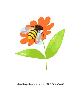 Bee in cartoon style sitting on flower on white background