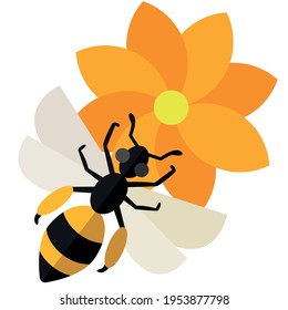 A bee collects nectar from a flower