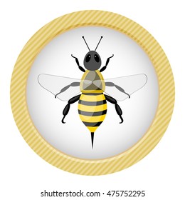 Bee colorful icon