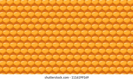 Bee comb pattern vector. honey. free space for text. wallpaper. background.