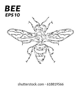 The bee consists of points, lines and triangles. The polygon shape in the form of a silhouette of a bee on a dark background. Vector illustration.