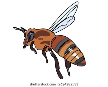 Bee in continuous line drawing on white background.